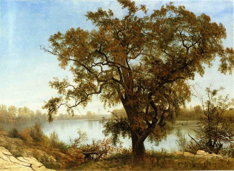 Albert Bierstadt A View From Sacramento